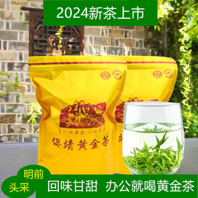 绿茶2024新茶保靖黄金茶明前新鲜特级浓香型绿茶袋装包邮正宗