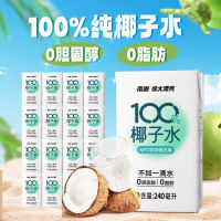 南国海南特产100%NFC椰子水240ML*16瓶装无添加椰青果汁运动饮料