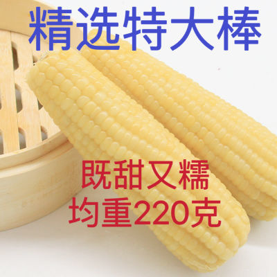 【精品】精选甜糯玉米特大棒子正宗东北糯玉米新鲜香甜玉米黏玉米