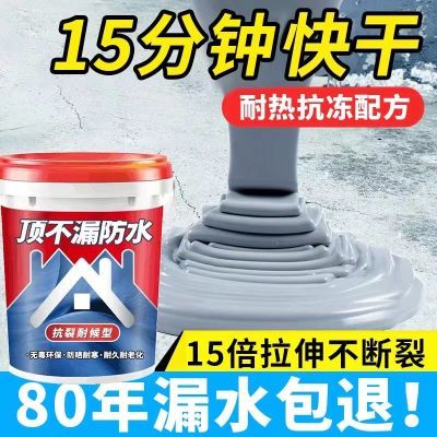 平房屋顶防水防水涂料漏水外墙裂缝防漏房顶聚氨酯补漏材料堵漏