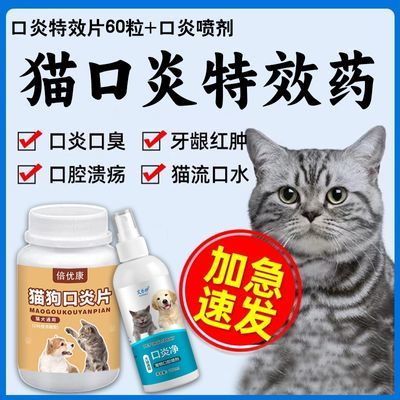 口炎净猫咪口炎专用口腔溃疡口臭口水狗狗肉芽肿食欲不振宠物用品