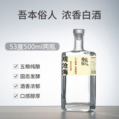 【试饮特价】吾本俗人观沧海53度2瓶简装纯粮食高度白酒厂家直销