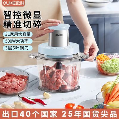 欧科绞肉机家用电动多功能料理打肉馅搅拌机大容量全自动搅碎机