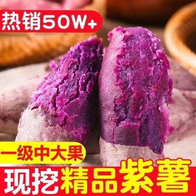 【正宗紫薯】沙地紫薯新鲜紫薯紫罗兰红薯小紫薯地瓜番薯1/10斤