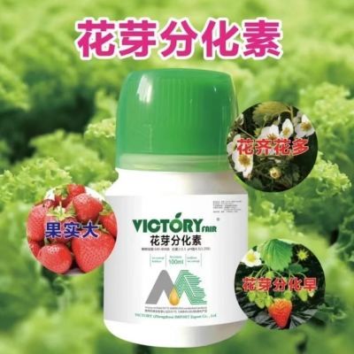 花芽分化诱导花芽分化素促开花现蕾分化细胞分裂