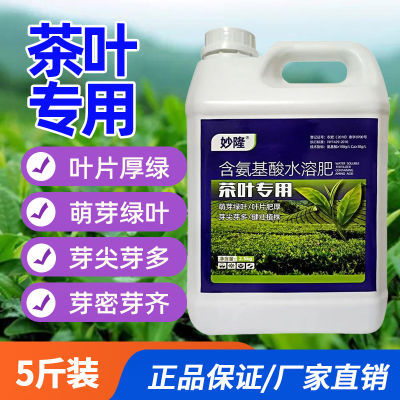 茶叶专用叶面肥强力催芽壮芽芽厚耐寒耐冻茶叶催芽壮芽素正品保证