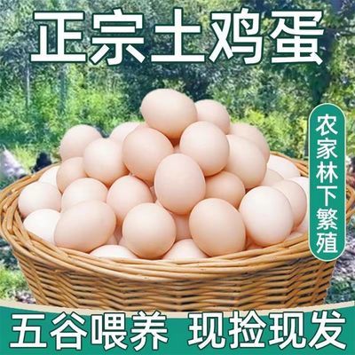 舌尖上的玉食散养正宗农家土鸡蛋五谷新鲜虫草月子蛋营养大个包邮