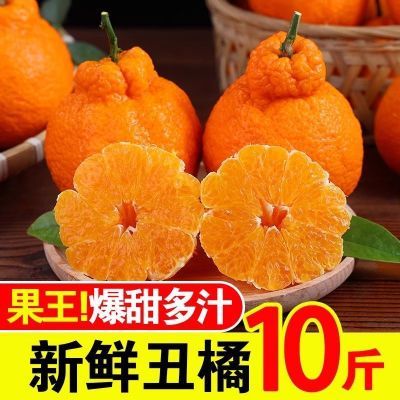 四川不知火丑橘新鲜水果10斤当季甜丑八怪柑桔子粑粑耙耙橘子整箱