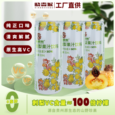晓贵猴刺梨果汁饮料高维C贵州刺梨酸甜开胃低糖果饮箱装310m