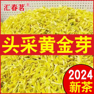 2024新茶【头采黄金芽】正宗明前特级黄金芽浓香型茶叶罐装礼盒装
