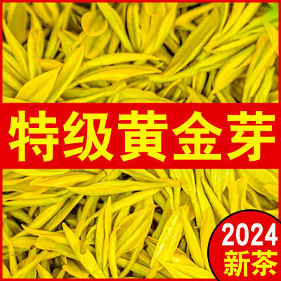 特级黄金芽【2024新茶】正宗高山绿茶叶黄金叶珍稀白茶罐装礼盒装
