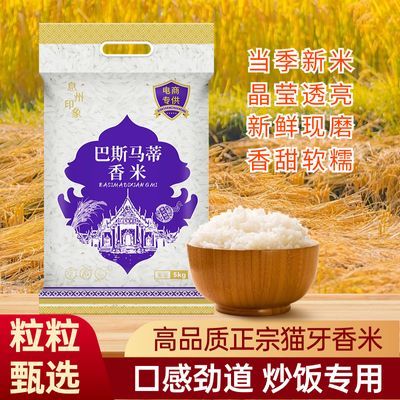 猫牙米长粒香大米泰国香米丝苗米煲仔饭专用米大米2023年新米