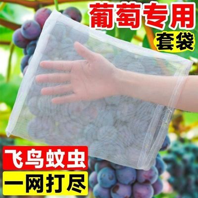 尼龙网袋葡萄套袋专用袋子防鸟网防虫水果防虫网袋草莓无花果透气