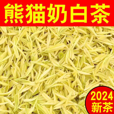 2024新茶头采嫩芽【熊猫奶白茶】正宗特级黄金芽黄金叶珍稀白