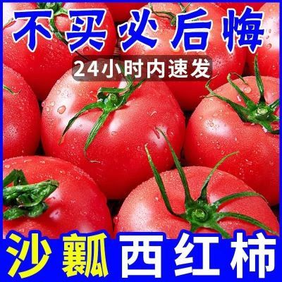 【沙瓤西红柿新鲜生吃】攀枝花番茄水果自然熟批发带箱普罗旺斯