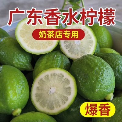 【官方推荐】广东香水柠檬无籽商用一级果奶茶店专用新鲜现摘薄皮