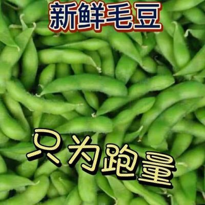 上海崇明毛豆新鲜带壳现摘应季青豆豆荚鲜嫩农家豆角豆子当季蔬菜