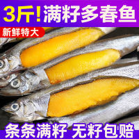 北海湾多春鱼满籽新鲜多籽鱼冷冻鲜活500g*3袋