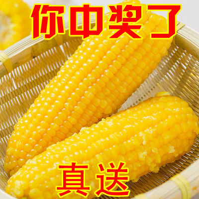 【玉米】水果玉米开袋即食新鲜玉米真空包装0脂肪