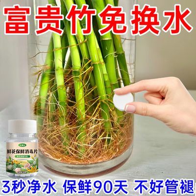 【好用】富贵竹通用鲜花保鲜消毒片水培植物专用净水通用型保鲜剂