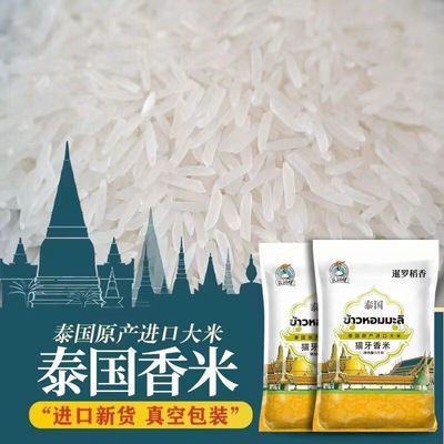 【真空包装】泰国猫牙香米新米原粮进口长粒香米象牙米猫牙米香米