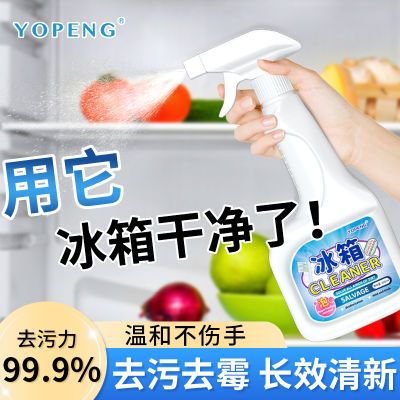 冰箱清洗剂杀菌消毒去霉专用清洁剂去异味强力去污除臭清新剂神器