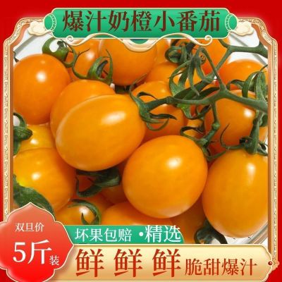 奶橙樱桃小番茄千禧果黄色圣女果西红柿孕妇水果无残留3-5斤包