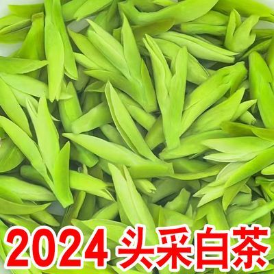 2024新茶【头采珍稀白茶】正宗特级白茶毛峰浓香型黄金芽罐装礼盒