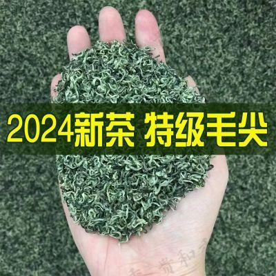 一斤装特级2024新茶贵州毛尖茶叶明前浓香型高山云雾绿茶罐装批发