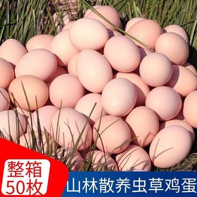 【5O枚正宗土鸡蛋】农家散养新鲜整箱原生态林营养孕妇虫草笨鸡蛋