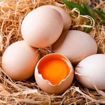 10枚新鲜土鸡蛋农家自养五谷粮食喂养新鲜土鸡蛋大个柴鸡蛋一整箱