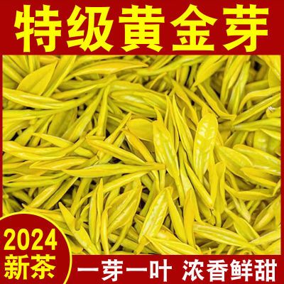 2024新茶【特级】黄金芽正宗高山绿茶浓香型茶叶黄金叶罐装礼盒装