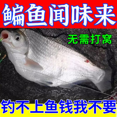 野钓鳊鱼专用饵料【无需打窝】黑坑野钓水库四季通用鳊鱼专用鱼饵