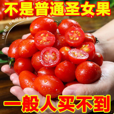 现摘圣女果新鲜红色樱桃小番茄孕妇水果非千禧西红柿蔬菜整箱批发