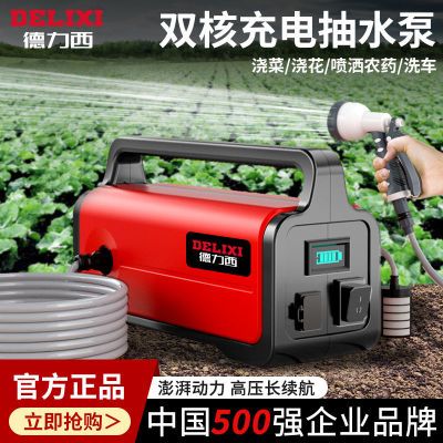 德力西抽水泵充电式自吸浇菜神器农用淋菜浇地灌溉小型家用浇水机
