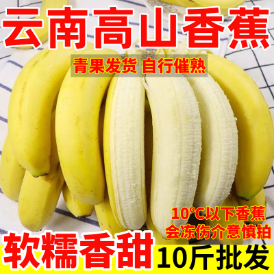【新客立减】纯天然绿皮香蕉批发高山薄皮正宗甜香蕉云南新鲜水果