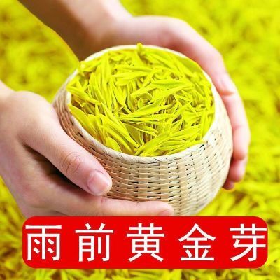 【特级黄金芽2024新茶】正宗安吉珍稀白茶浓香清香型绿茶袋装罐装