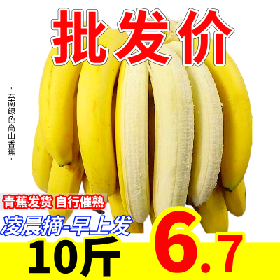 【已售100万+】云南高山现摘香蕉青皮新鲜水果小米蕉芭蕉整箱批发