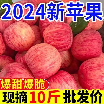 2024新果】陕西红富士苹果当季新鲜脆甜冰糖心苹果水果批发一整箱