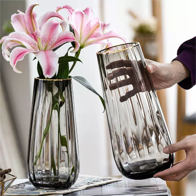 轻奢北欧简约创意花瓶玻璃透明水养富贵竹百合客厅餐桌插花瓶摆件