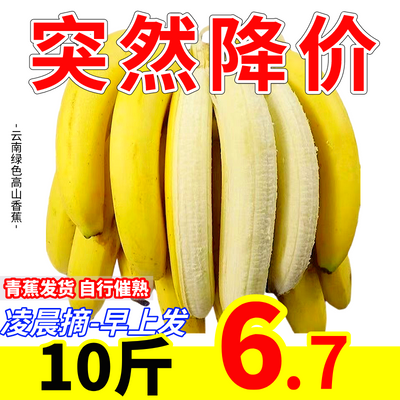 【新客立减】云南高山香蕉青皮新鲜水果孕妇小米蕉芭蕉整箱批发