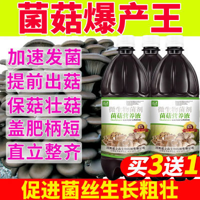 菌菇疯长素强力催菇王木耳香菇类膨大增产营养液专用生长素催菇用