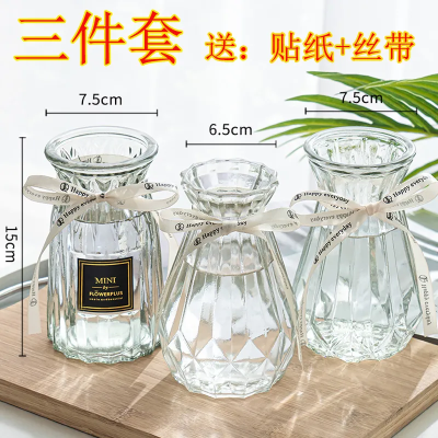 【三件套】高透明插花瓶15cm桌面简约花卉玻璃轻奢水培花瓶高颜值