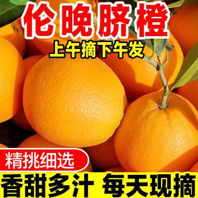 【爆甜】湖北秭归脐橙新鲜橙子10斤水果批发应季水果赣南脐橙商用