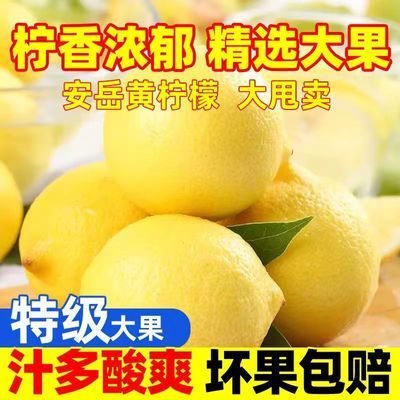 安岳黄柠檬水果当季新鲜水果整箱批发薄皮一级柠檬果子多规格泡水