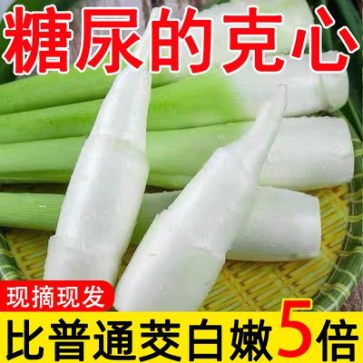 【糖尿的克心】新鲜茭白时令蔬菜农家种植高笋茭儿菜福建特产食材