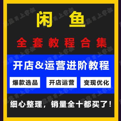 闲鱼教程运营无货源开店教程入门进阶卖货蓝海选品运营课程