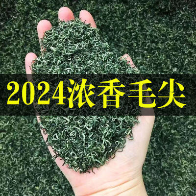 正宗绿茶2024新茶特级绿茶高级绿茶新鲜浓香型板栗香手工散装500g