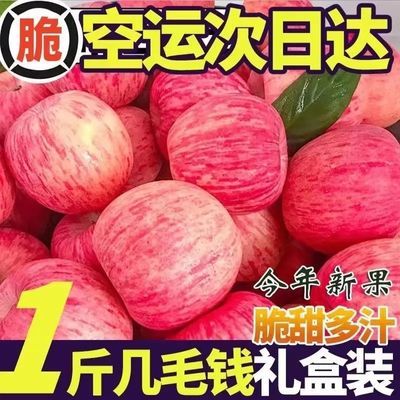 【特级】陕西洛川红富士脆甜苹果当季新鲜孕妇水果冰糖心整箱批发