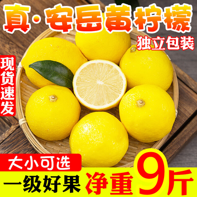 四川安岳黄柠檬5斤新鲜水果精选皮薄一级香正宗安岳柠檬薄皮柠檬